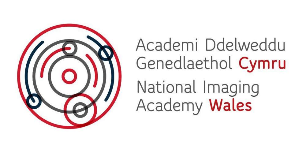 NIA Wales Logo