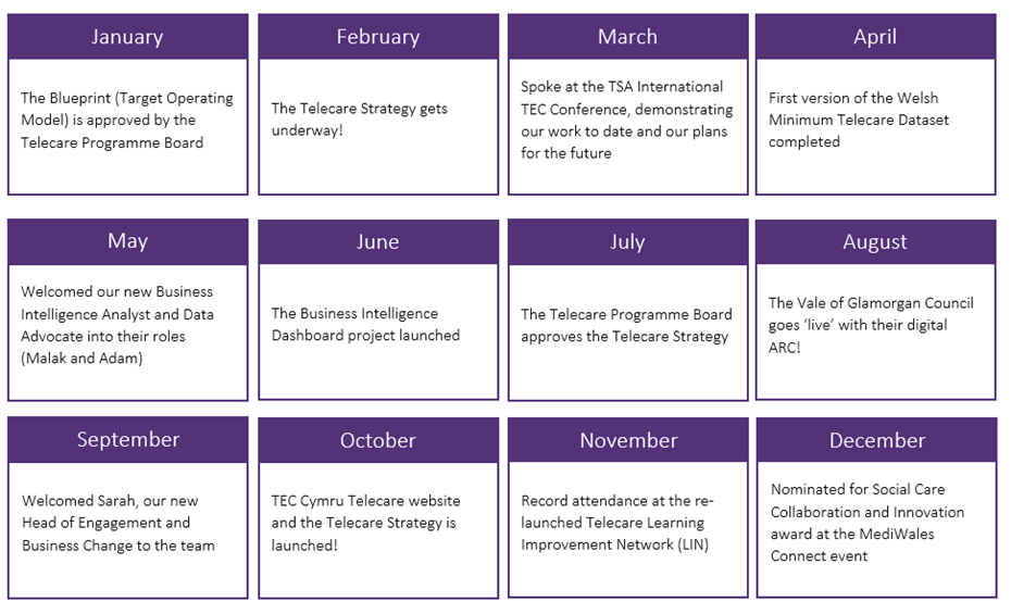 Calendar overview of Telecare achievements