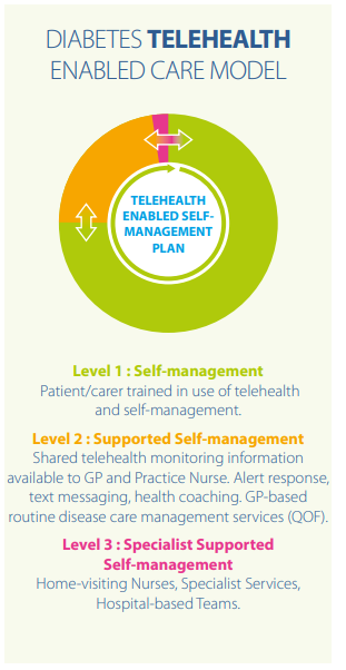 Diabetes Telehealth Enabled Care infographic