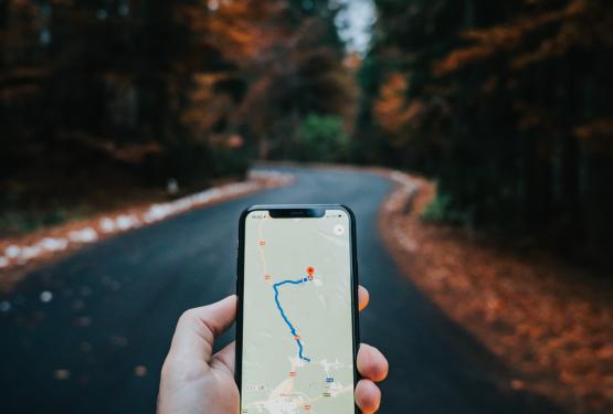 Man holding Google maps on phone in forest 