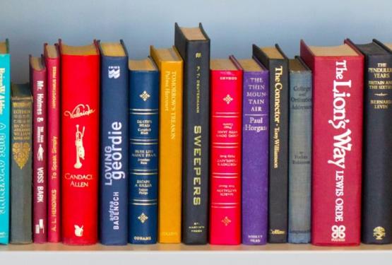 shelf with colourful books 