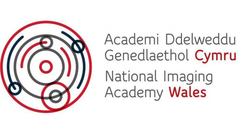 NIA Wales Logo