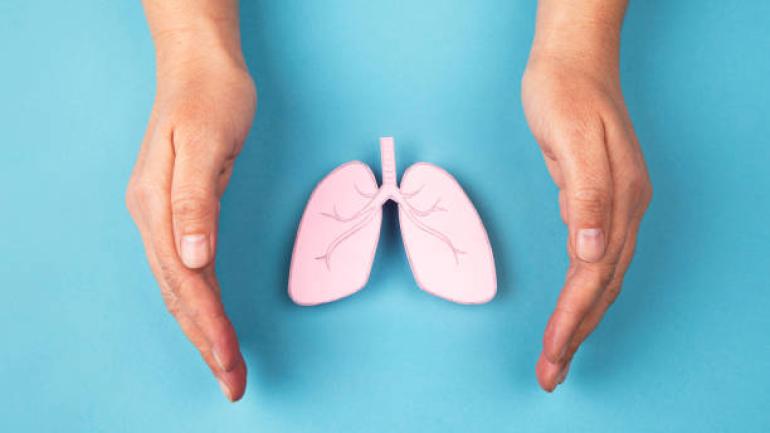 Picture of lungs cupped by hands